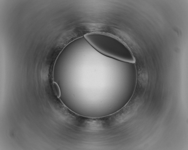 X0000113130221200909041154