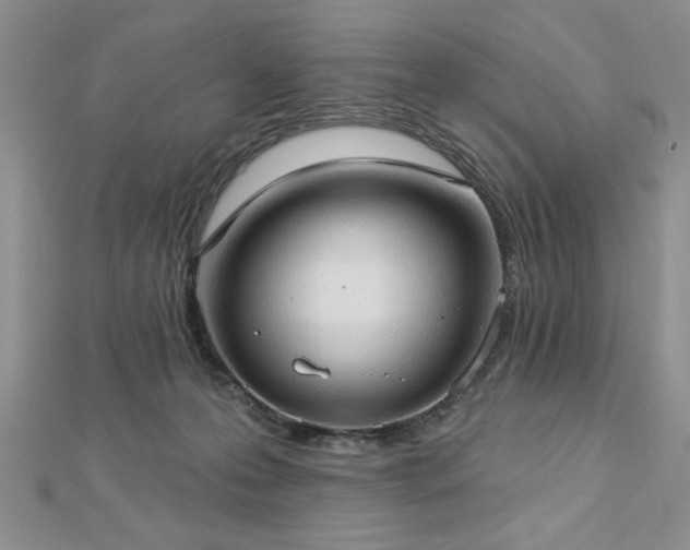 X0000113130223200909041154