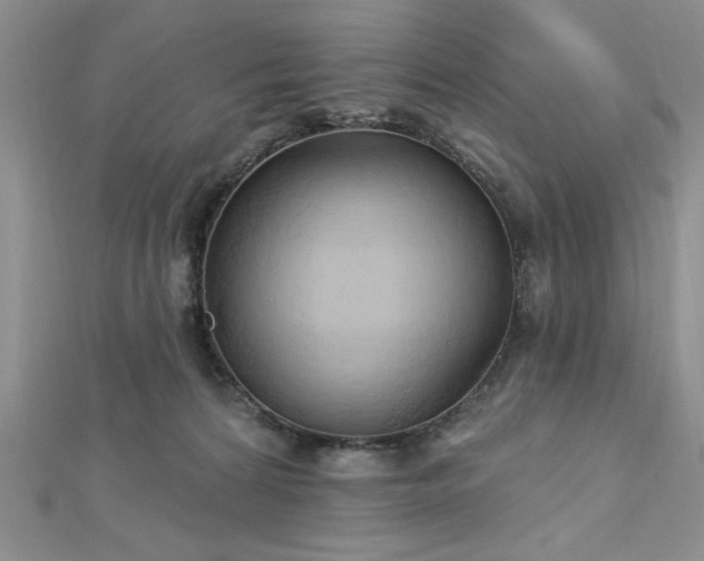 X0000113130224200909041154