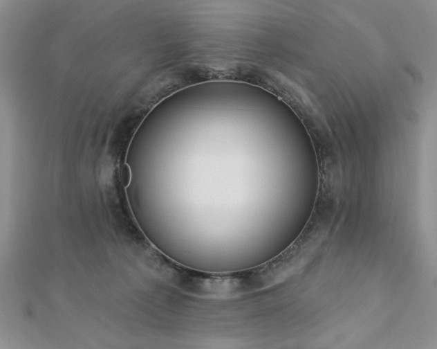 X0000113130225200909041154