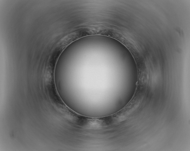 X0000113130226200909041154