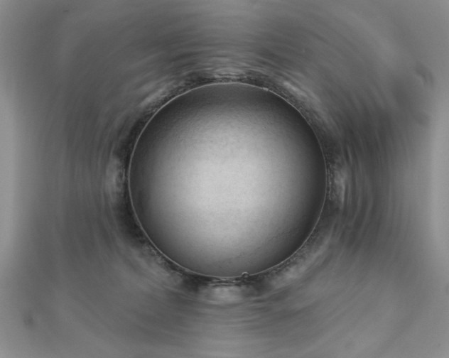 X0000113130228200909041153