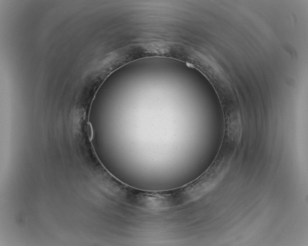 X0000113130229200909041153