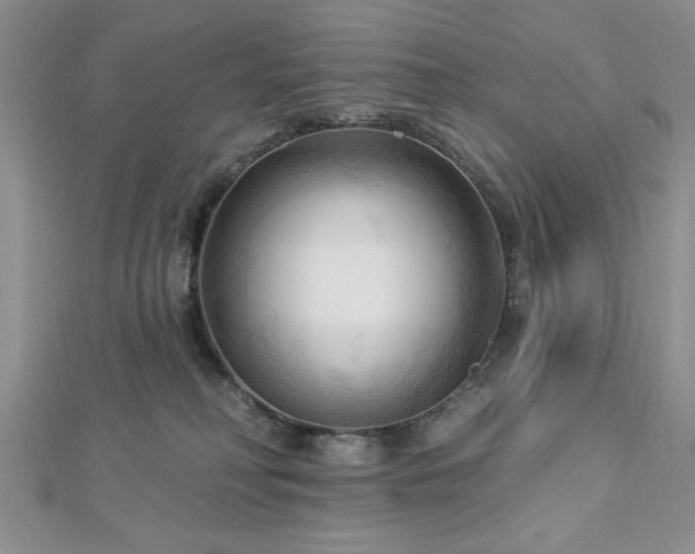 X0000113130230200909041153