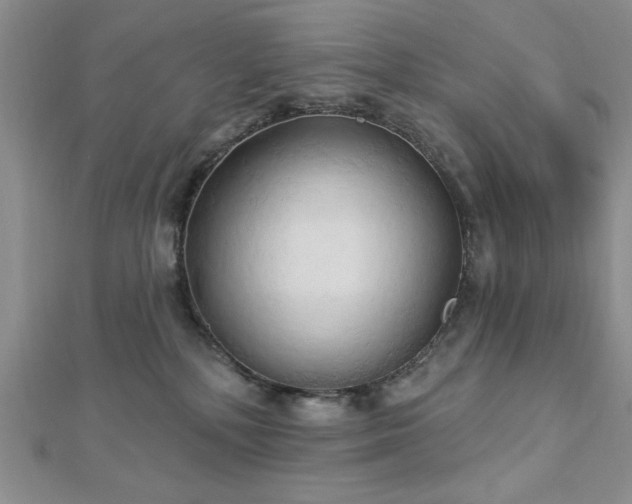 X0000113130232200909041153