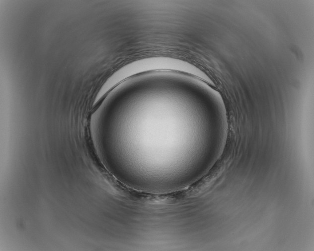 X0000113130235200909041153