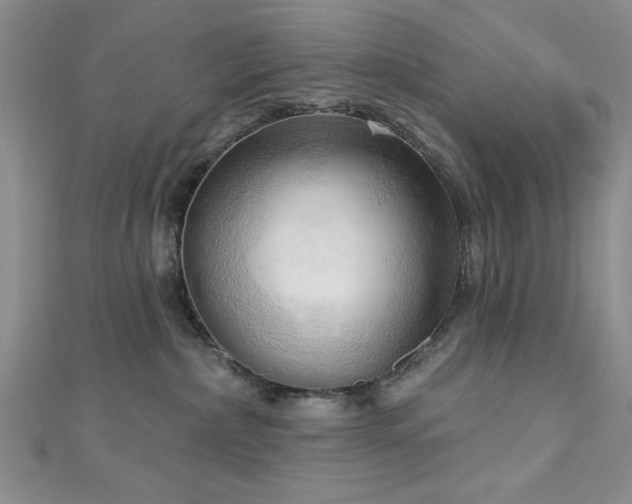 X0000113130236200909041153