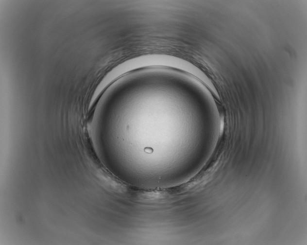 X0000113130237200909041153