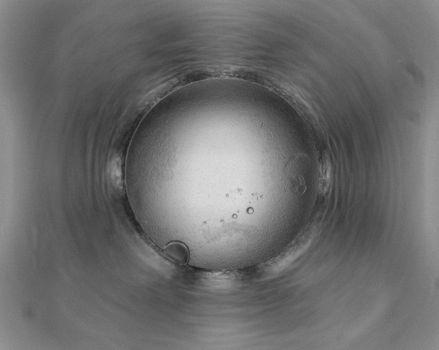 X0000113130238200909041153