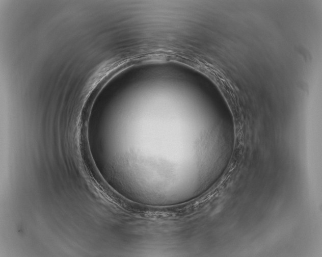X0000113130242200909041153