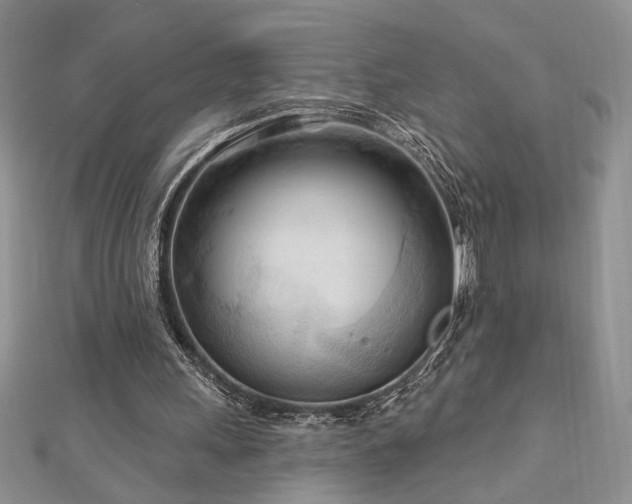 X0000113130243200909041153