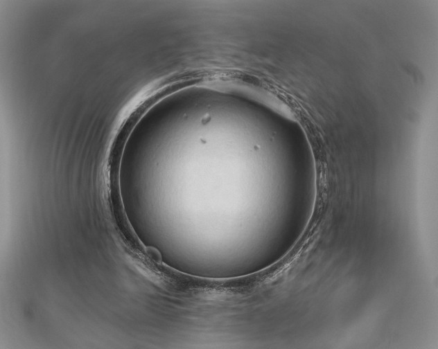 X0000113130246200909041153