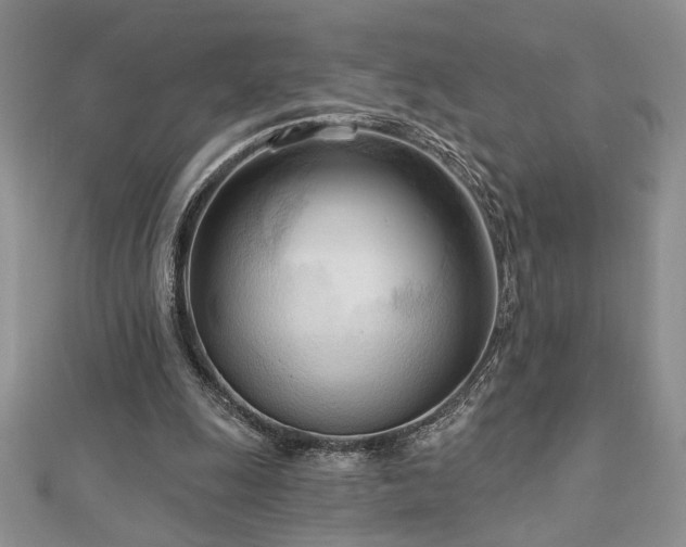 X0000113130247200909041153