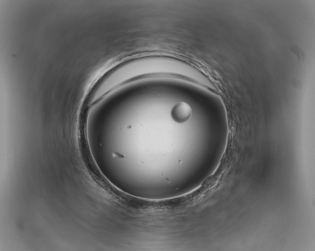 X0000113130248200909041153