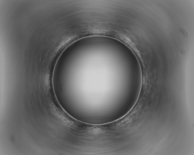 X0000113130249200909041153