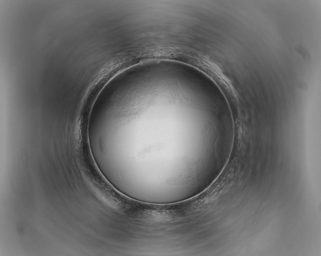 X0000113130250200909041153