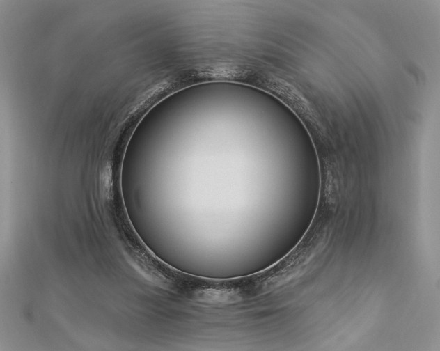 X0000113130251200909041153
