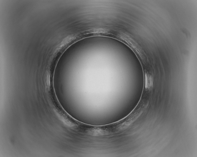 X0000113130253200909041153