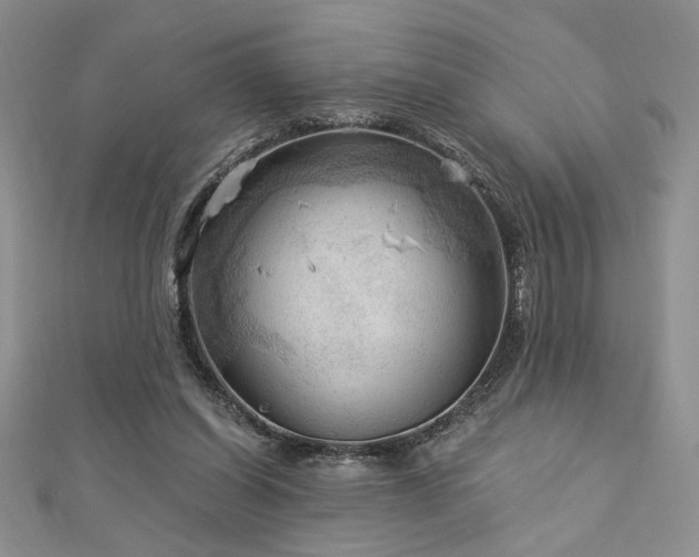 X0000113130254200909041153