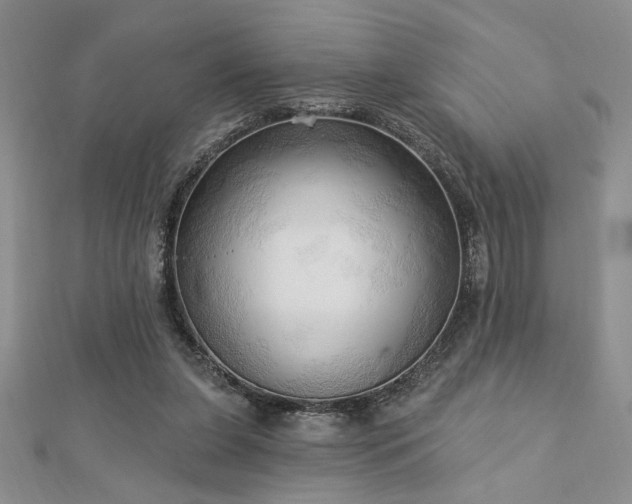 X0000113130255200909041153