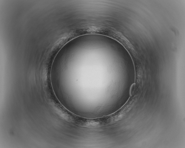 X0000113130257200909041153