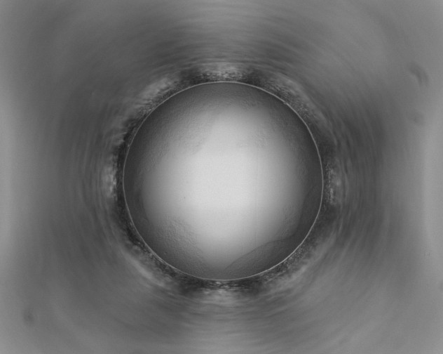 X0000113130259200909041153