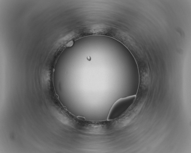 X0000113130260200909041153