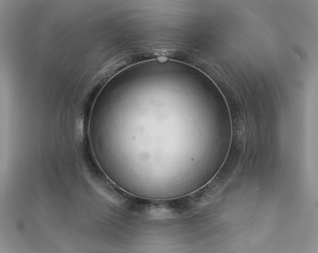 X0000113130262200909041153