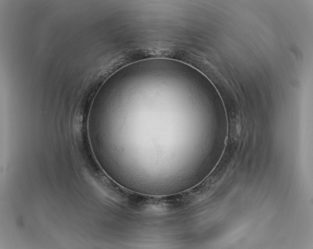 X0000113130263200909041153