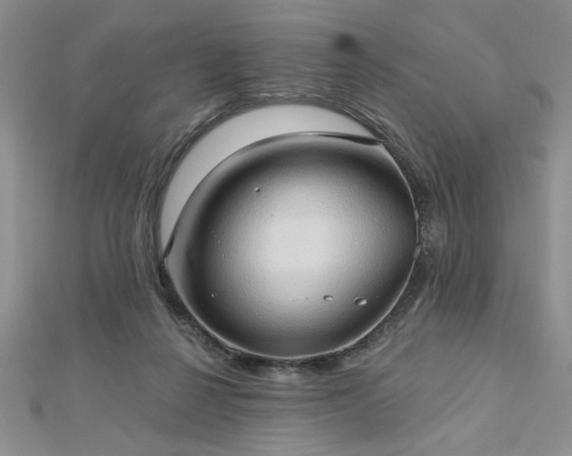 X0000113130264200909041153
