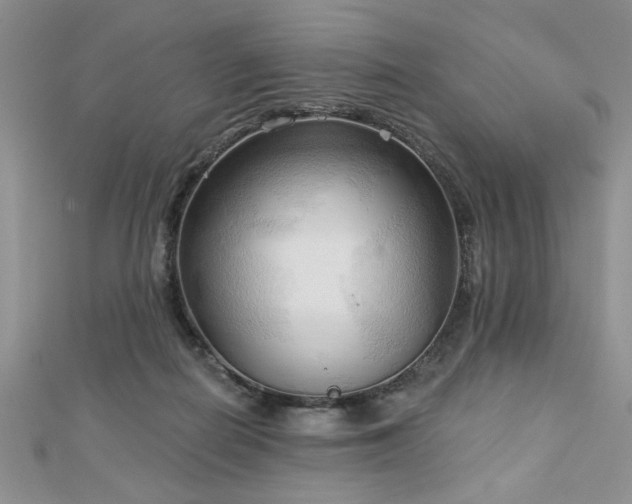 X0000113130266200909041153