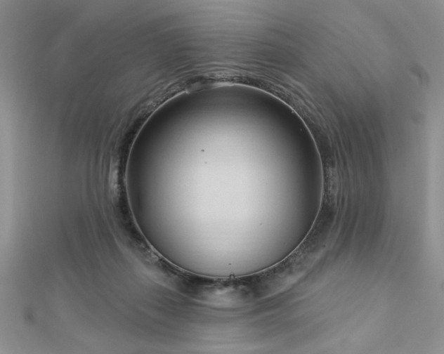 X0000113130267200909041153