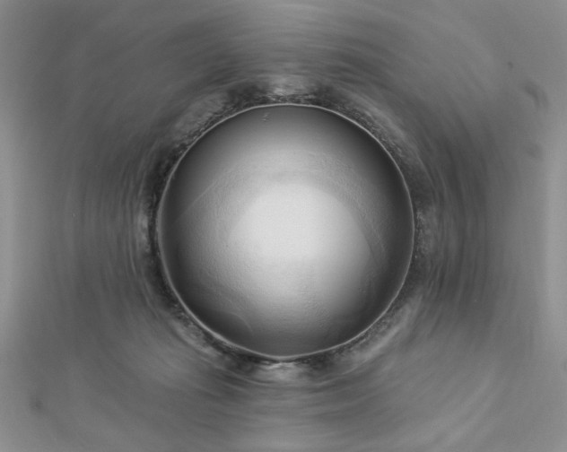 X0000113130269200909041153
