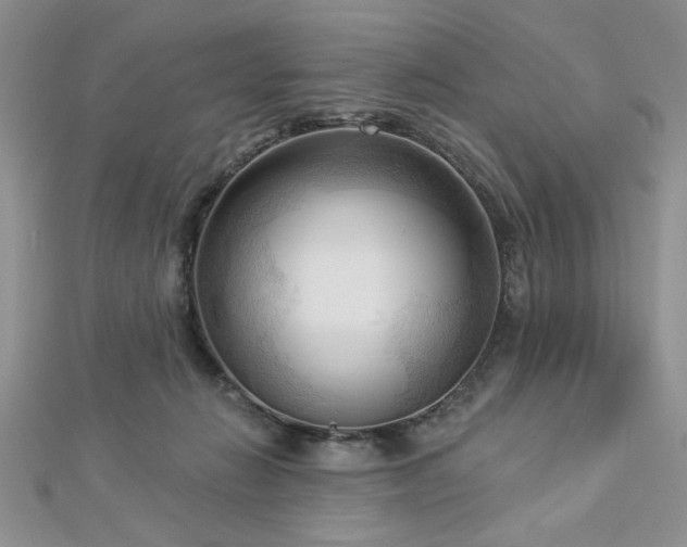 X0000113130270200909041153
