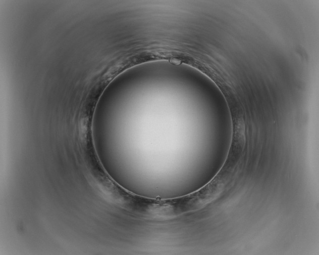 X0000113130271200909041153