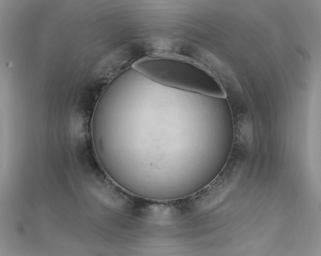X0000113130272200909041153