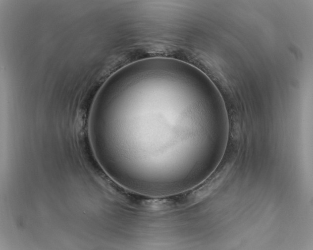 X0000113130273200909041153