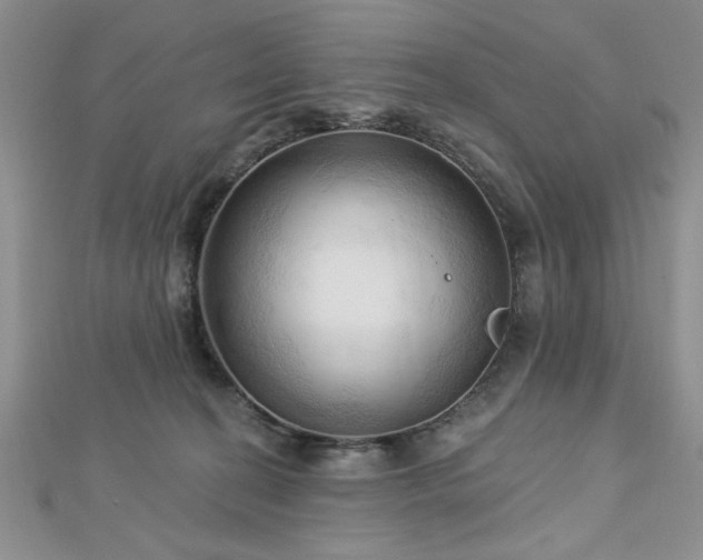 X0000113130274200909041153