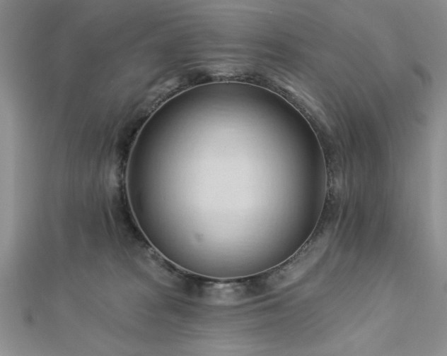 X0000113130277200909041153