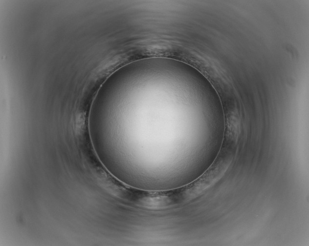 X0000113130278200909041153
