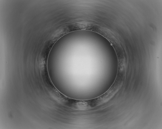 X0000113130279200909041153