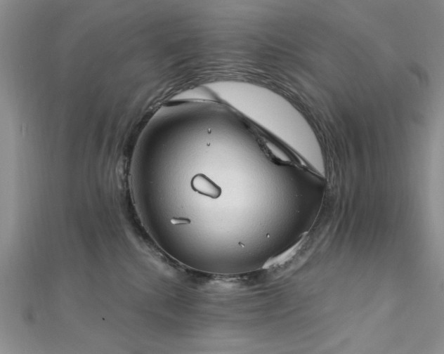 X0000113130280200909041153