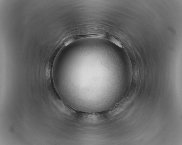 X0000113130282200909041153