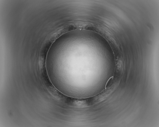 X0000113130283200909041153