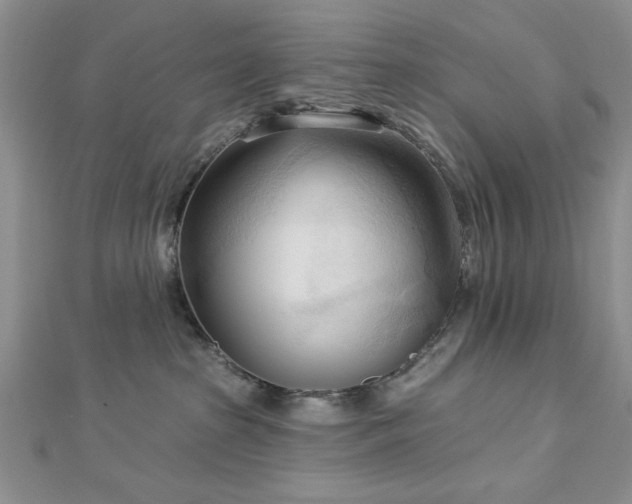 X0000113130285200909041153