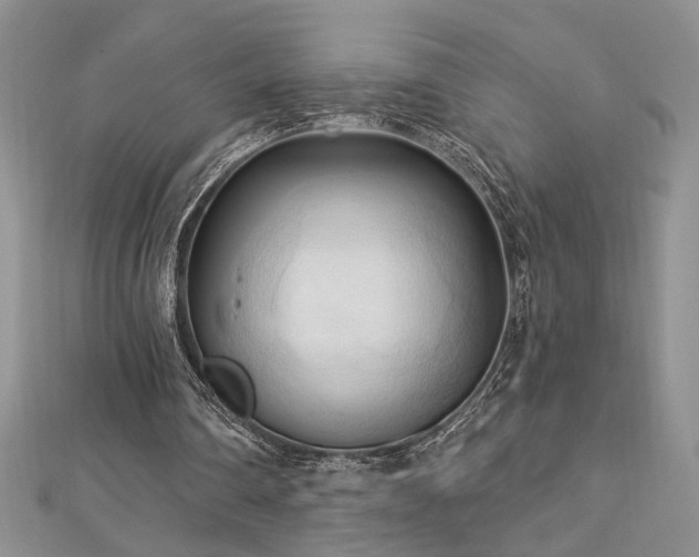 X0000113130290200909041153