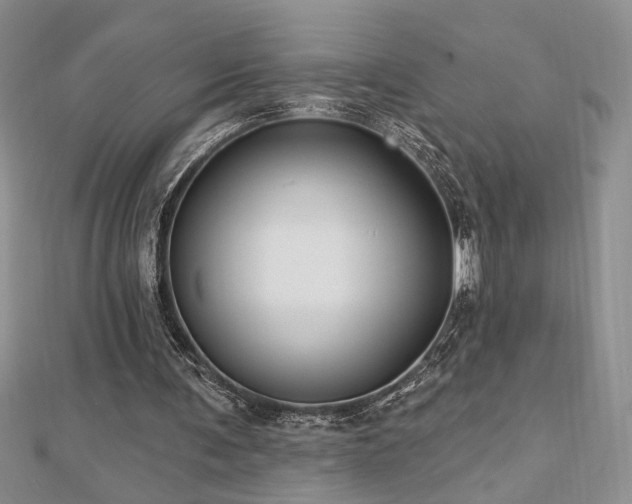 X0000113130291200909041153