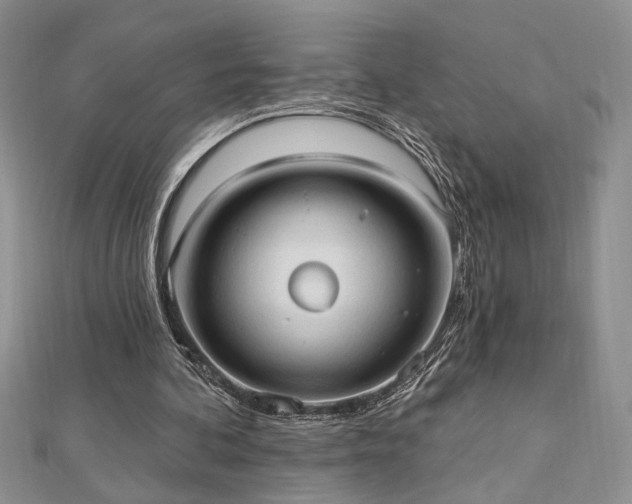 X0000113130292200909041153