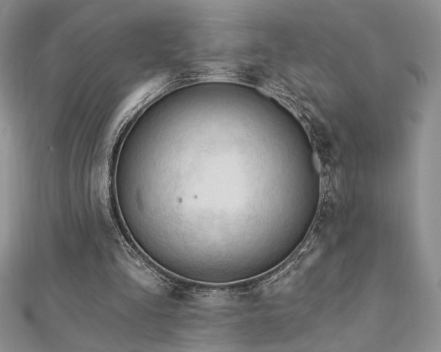 X0000113130293200909041153