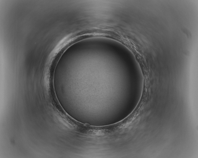 X0000113130295200909041153